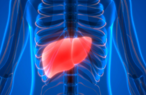 The clinical laboratory in chronic liver disease